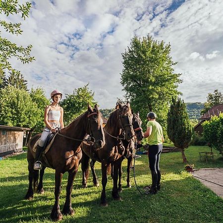 Apartment Sneznik Stari Trg pri Lozu Экстерьер фото